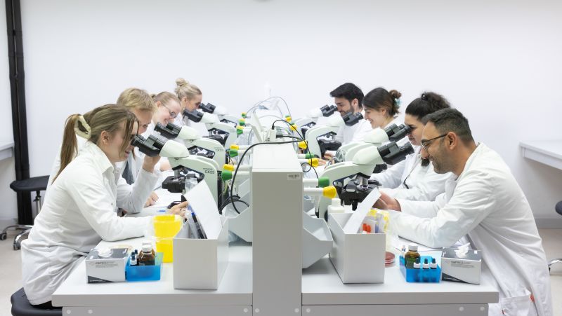 Javna obrana teme doktorskog rada